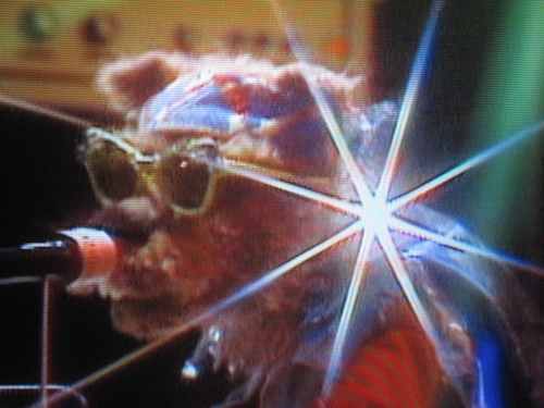 12 - Emmet Otter-thumb-500x375-35977