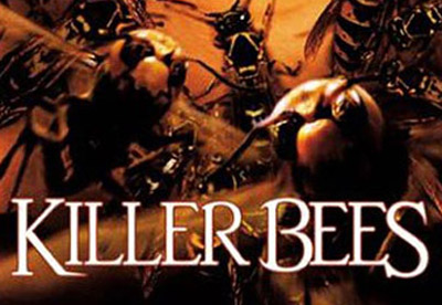 Killer Bees Videopac+ Odyssey3 editon Videopac / Magnavox Odyssey