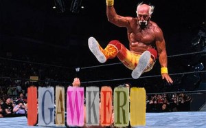 Hogan Gawker